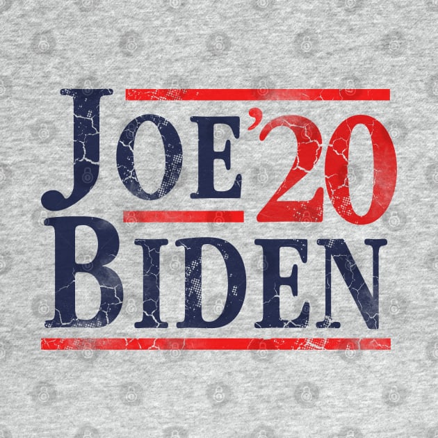 Joe Biden 2020 Election President by E
